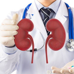 Conditions Treated by Kidney Clinic | Nephrologists in Newnan, Coweta County, Peachtree City, Fayette County